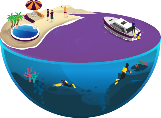 Asset-Purple