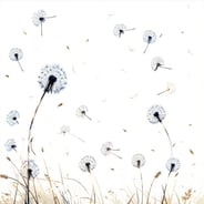 Floating Dandelion Seeds  Traditional Palette Version VisualMinimalist sketch or soft vectorstyle dandelion seeds drifting naturally across a white backgroundVarying seed sizes and directions suggest organic movement lightness and time passing Update
